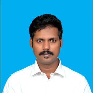 Damodharan Panneerselvam